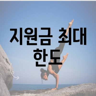 지원금 최대 한도