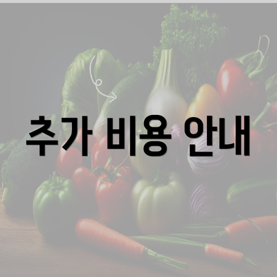 추가 비용 안내