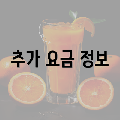 추가 요금 정보