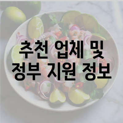 추천 업체 및 정부 지원 정보