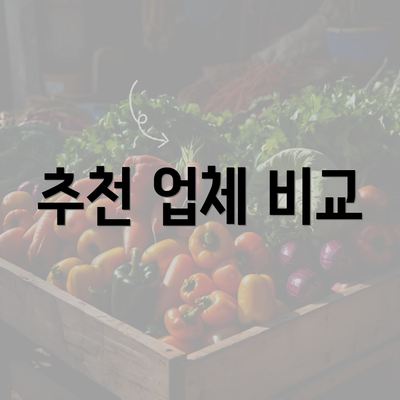 추천 업체 비교