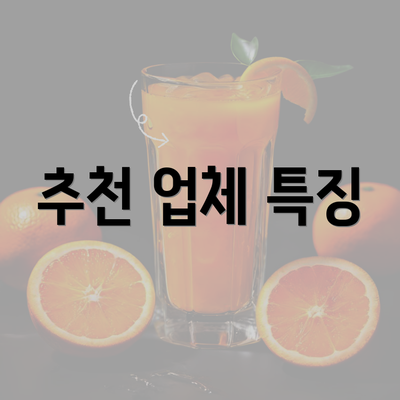 추천 업체 특징