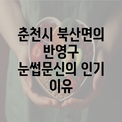 춘천시 북산면의 반영구 눈썹문신의 인기 이유