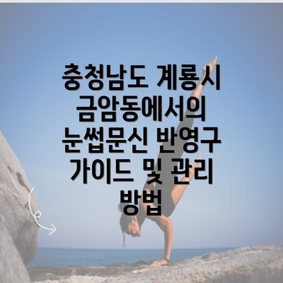 충청남도 계룡시 금암동에서의 눈썹문신 반영구 가이드 및 관리 방법