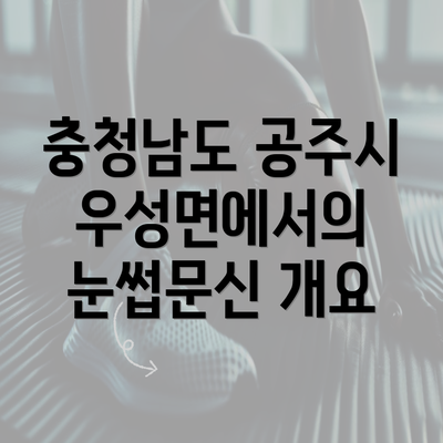 충청남도 공주시 우성면에서의 눈썹문신 개요