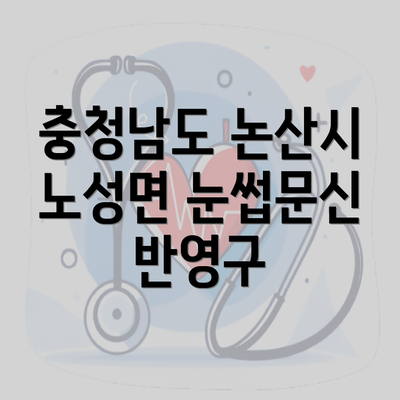 충청남도 논산시 노성면 눈썹문신 반영구