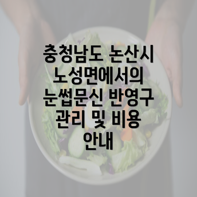 충청남도 논산시 노성면에서의 눈썹문신 반영구 관리 및 비용 안내