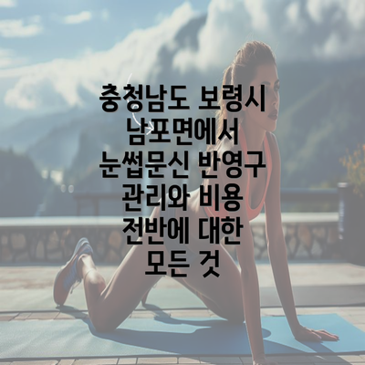 충청남도 보령시 남포면에서 눈썹문신 반영구 관리와 비용 전반에 대한 모든 것