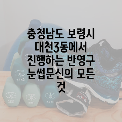 충청남도 보령시 대천3동에서 진행하는 반영구 눈썹문신의 모든 것