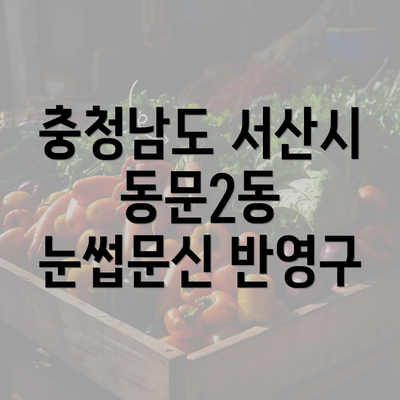 충청남도 서산시 동문2동 눈썹문신 반영구