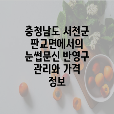 충청남도 서천군 판교면에서의 눈썹문신 반영구 관리와 가격 정보