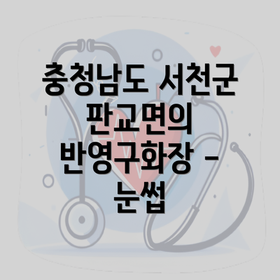 충청남도 서천군 판교면의 반영구화장 - 눈썹