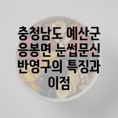 충청남도 예산군 응봉면 눈썹문신 반영구의 특징과 이점