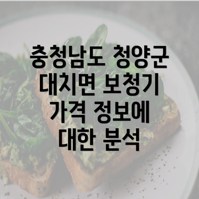 충청남도 청양군 대치면 보청기 가격 정보에 대한 분석