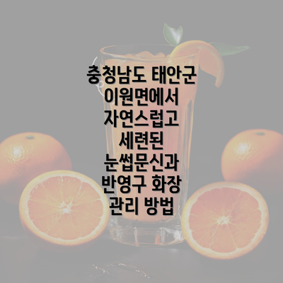 충청남도 태안군 이원면에서 자연스럽고 세련된 눈썹문신과 반영구 화장 관리 방법