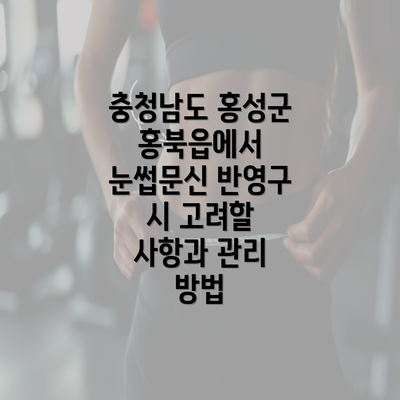 충청남도 홍성군 홍북읍에서 눈썹문신 반영구 시 고려할 사항과 관리 방법