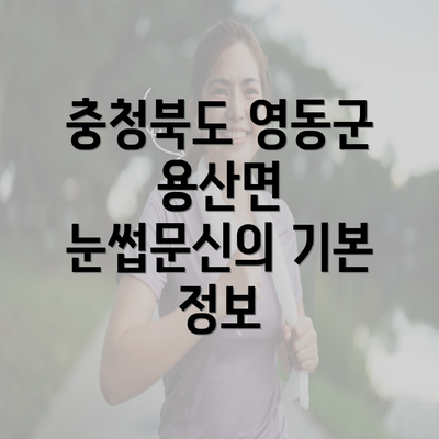 충청북도 영동군 용산면 눈썹문신의 기본 정보