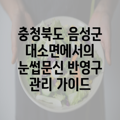 충청북도 음성군 대소면에서의 반영구 눈썹문신 완벽 가이드