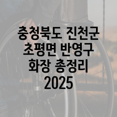 충청북도 진천군 초평면 반영구 화장 총정리 2025