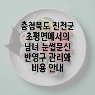 충청북도 진천군 초평면에서의 남녀 눈썹문신 반영구 관리와 비용 안내