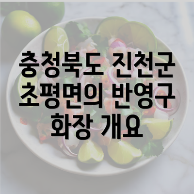 충청북도 진천군 초평면의 반영구 화장 개요