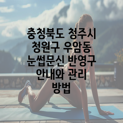 충청북도 청주시 청원구 우암동 눈썹문신 반영구 안내와 관리 방법