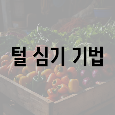 털 심기 기법