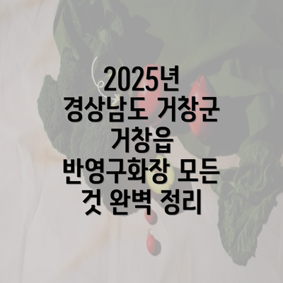 2025년 경상남도 거창군 거창읍 반영구화장 모든 것 완벽 정리