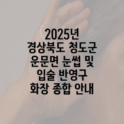 2025년 경상북도 청도군 운문면 눈썹 및 입술 반영구 화장 종합 안내