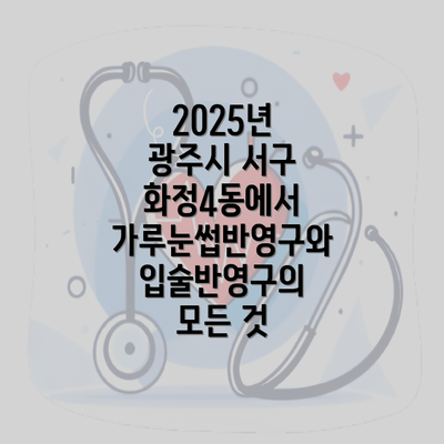 2025년 광주시 서구 화정4동에서 가루눈썹반영구와 입술반영구의 모든 것