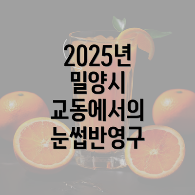 2025년 밀양시 교동에서의 눈썹반영구