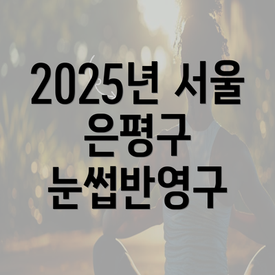 2025년 서울 은평구 눈썹반영구