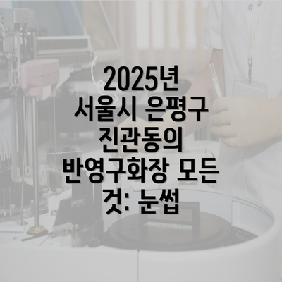 2025년 서울시 은평구 진관동의 반영구화장 모든 것: 눈썹