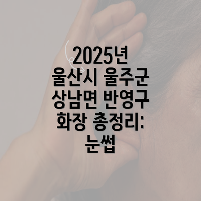 2025년 울산시 울주군 상남면 반영구 화장 총정리: 눈썹