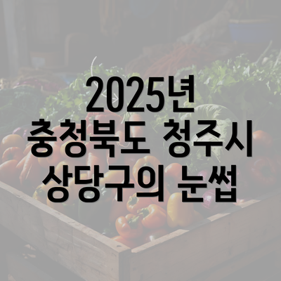 2025년 충청북도 청주시 상당구의 눈썹