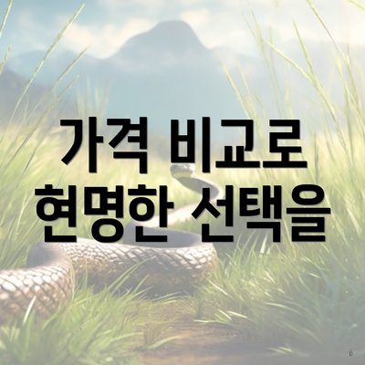 가격 비교로 현명한 선택을