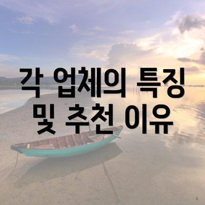 각 업체의 특징 및 추천 이유