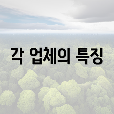 각 업체의 특징