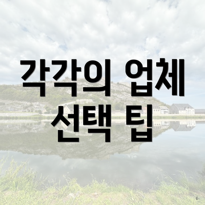 각각의 업체 선택 팁