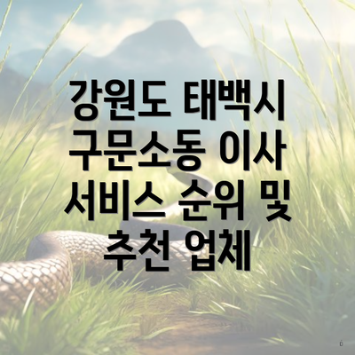 강원도 태백시 구문소동 이사 서비스 순위 및 추천 업체