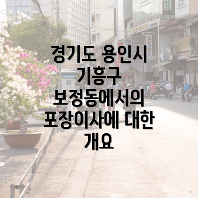 경기도 용인시 기흥구 보정동에서의 포장이사에 대한 개요