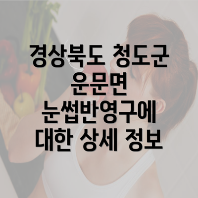 경상북도 청도군 운문면 눈썹반영구에 대한 상세 정보