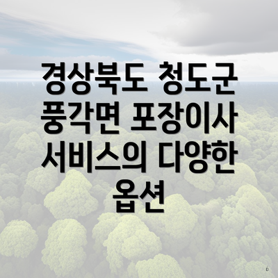 경상북도 청도군 풍각면 포장이사 서비스의 다양한 옵션