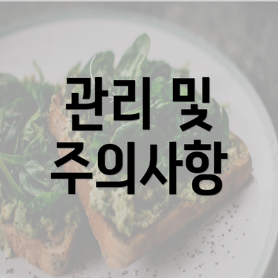 관리 및 주의사항