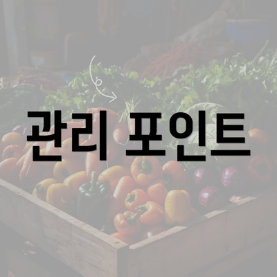 관리 포인트