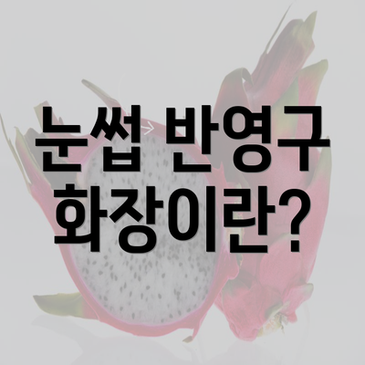 눈썹 반영구 화장이란?