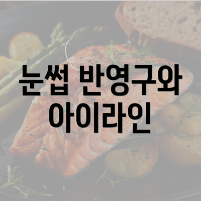 눈썹 반영구와 아이라인