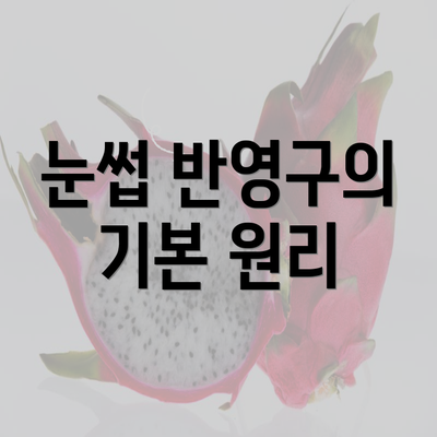 눈썹 반영구의 기본 원리