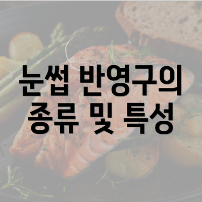 눈썹 반영구의 종류 및 특성