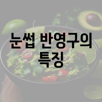 눈썹 반영구의 특징